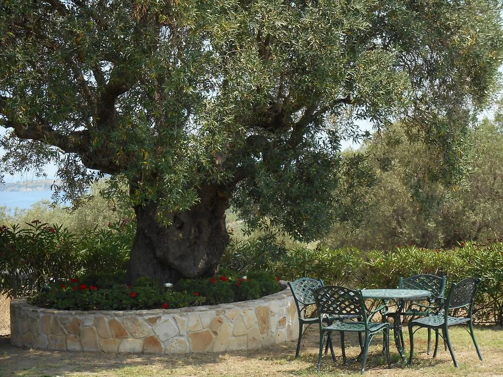 Heliactida House Guest House Ormos Panagias